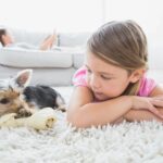 Showing dog and young girl lying on a rug cleaned by Anderson Certified Rug Cleaners